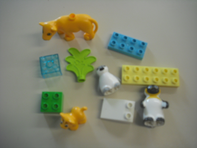 Wild animal families, penguins and lions-DUPLO