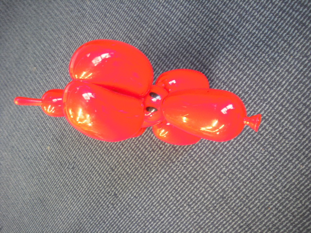 Red balloon dog
